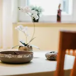 Apartment Ostsee_gru_ _ Objekt